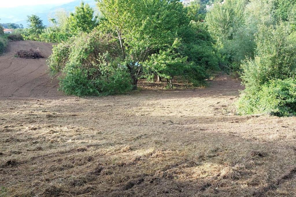 فيلا Quinta Dos Castros Douro Baião المظهر الخارجي الصورة