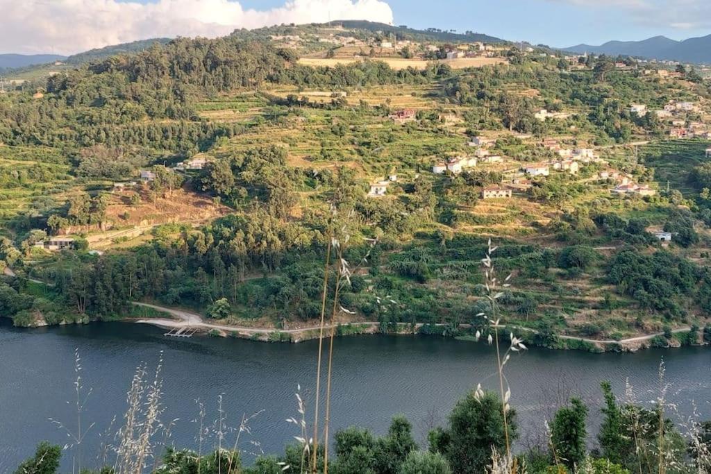 فيلا Quinta Dos Castros Douro Baião المظهر الخارجي الصورة