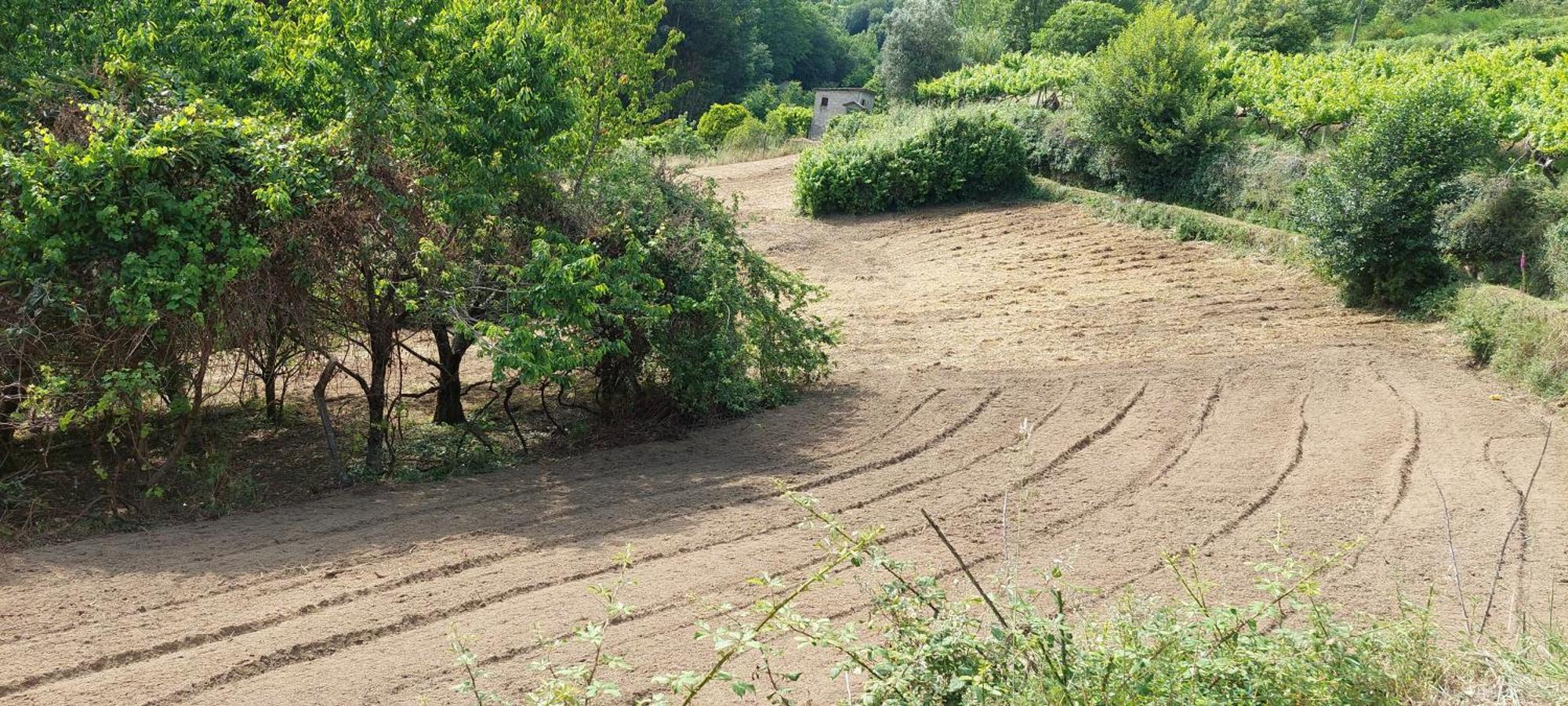 فيلا Quinta Dos Castros Douro Baião المظهر الخارجي الصورة