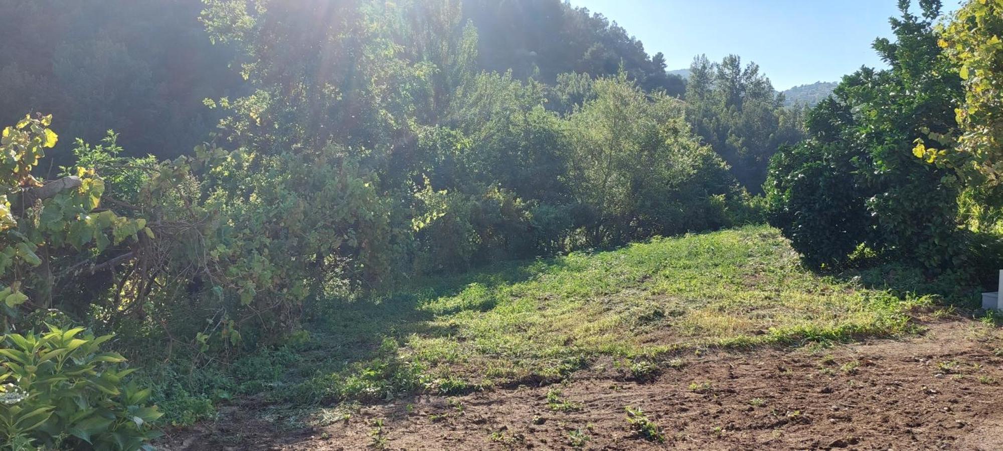 فيلا Quinta Dos Castros Douro Baião المظهر الخارجي الصورة