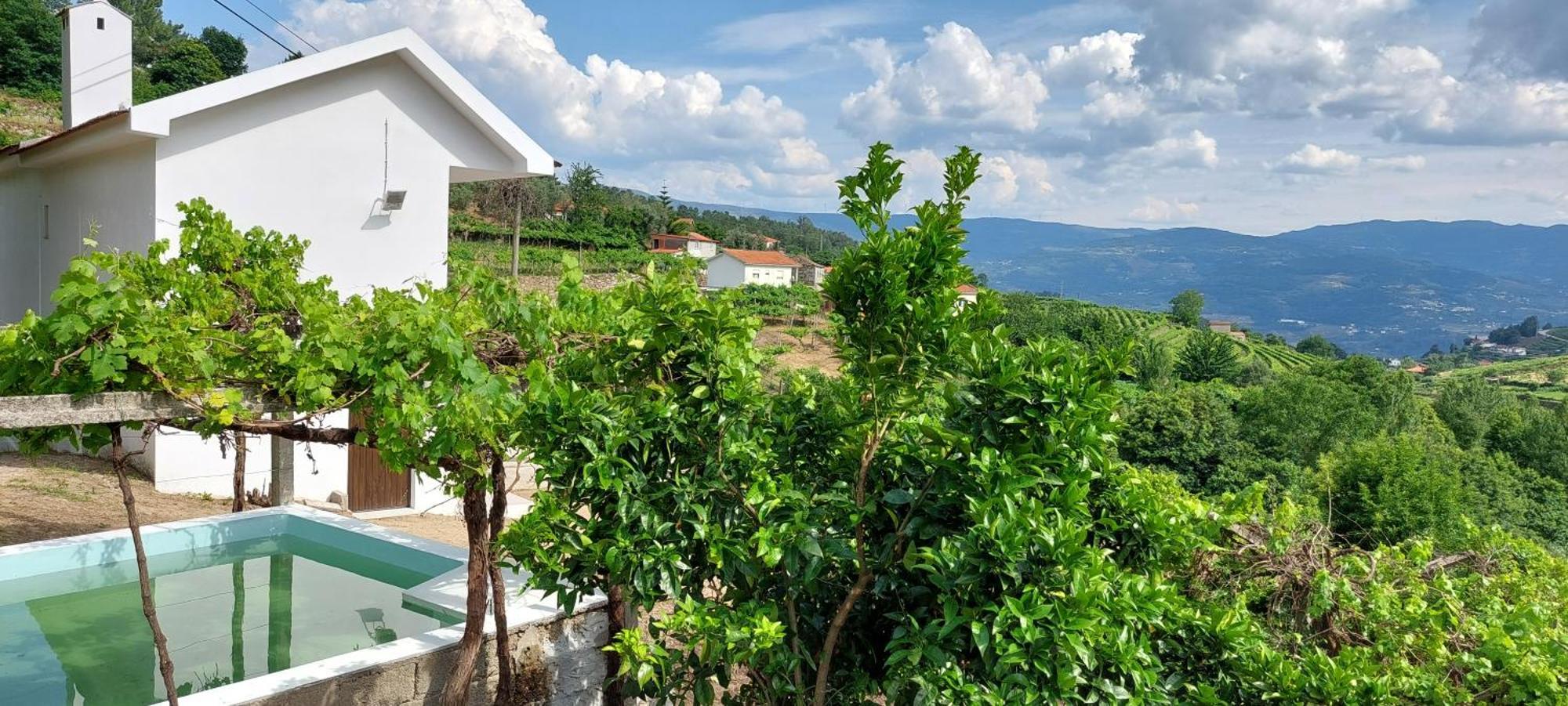 فيلا Quinta Dos Castros Douro Baião المظهر الخارجي الصورة