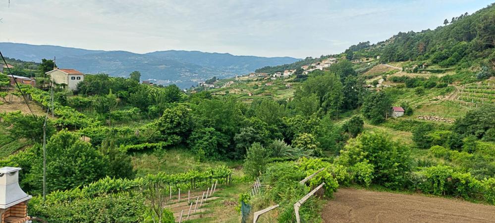 فيلا Quinta Dos Castros Douro Baião المظهر الخارجي الصورة