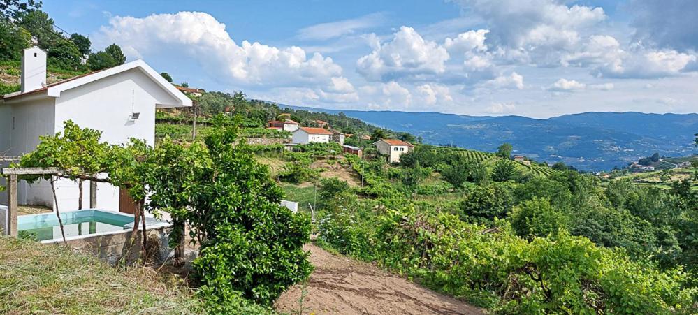 فيلا Quinta Dos Castros Douro Baião المظهر الخارجي الصورة