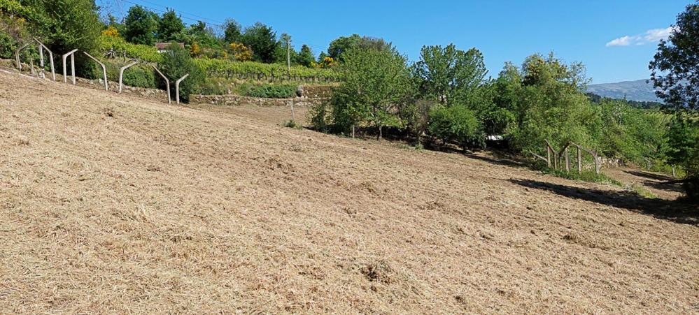 فيلا Quinta Dos Castros Douro Baião المظهر الخارجي الصورة