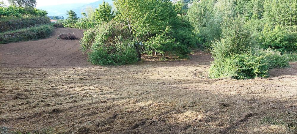 فيلا Quinta Dos Castros Douro Baião المظهر الخارجي الصورة