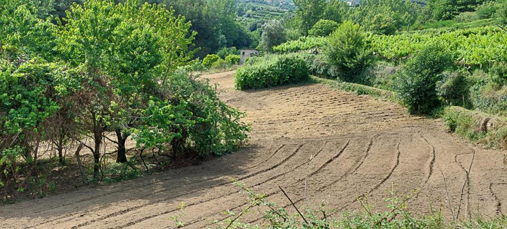 فيلا Quinta Dos Castros Douro Baião المظهر الخارجي الصورة