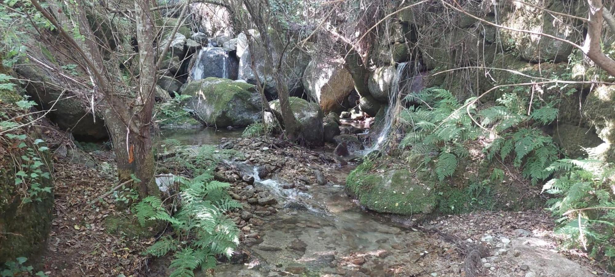 فيلا Quinta Dos Castros Douro Baião المظهر الخارجي الصورة