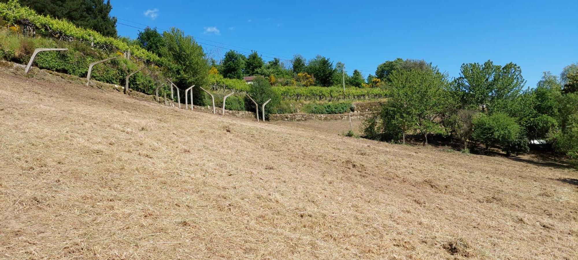 فيلا Quinta Dos Castros Douro Baião المظهر الخارجي الصورة