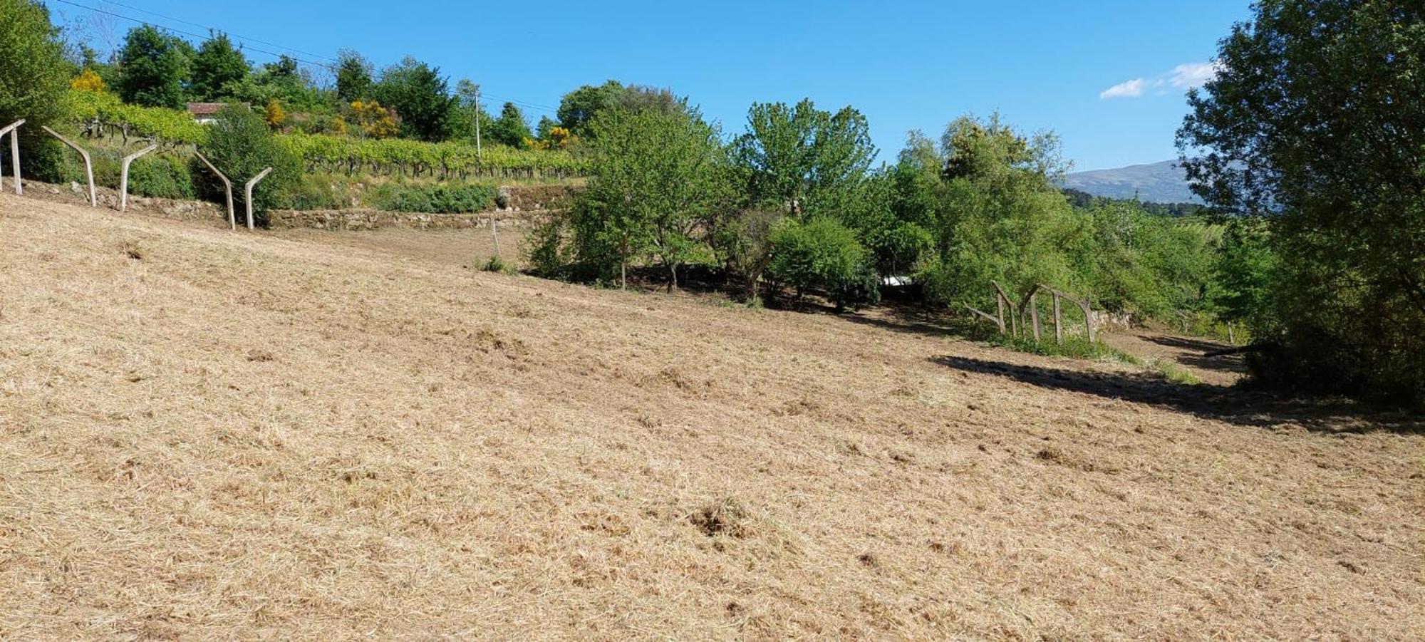 فيلا Quinta Dos Castros Douro Baião المظهر الخارجي الصورة